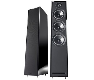Acoustic Energy 305