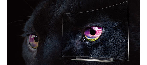 01_PERFECT-black copy